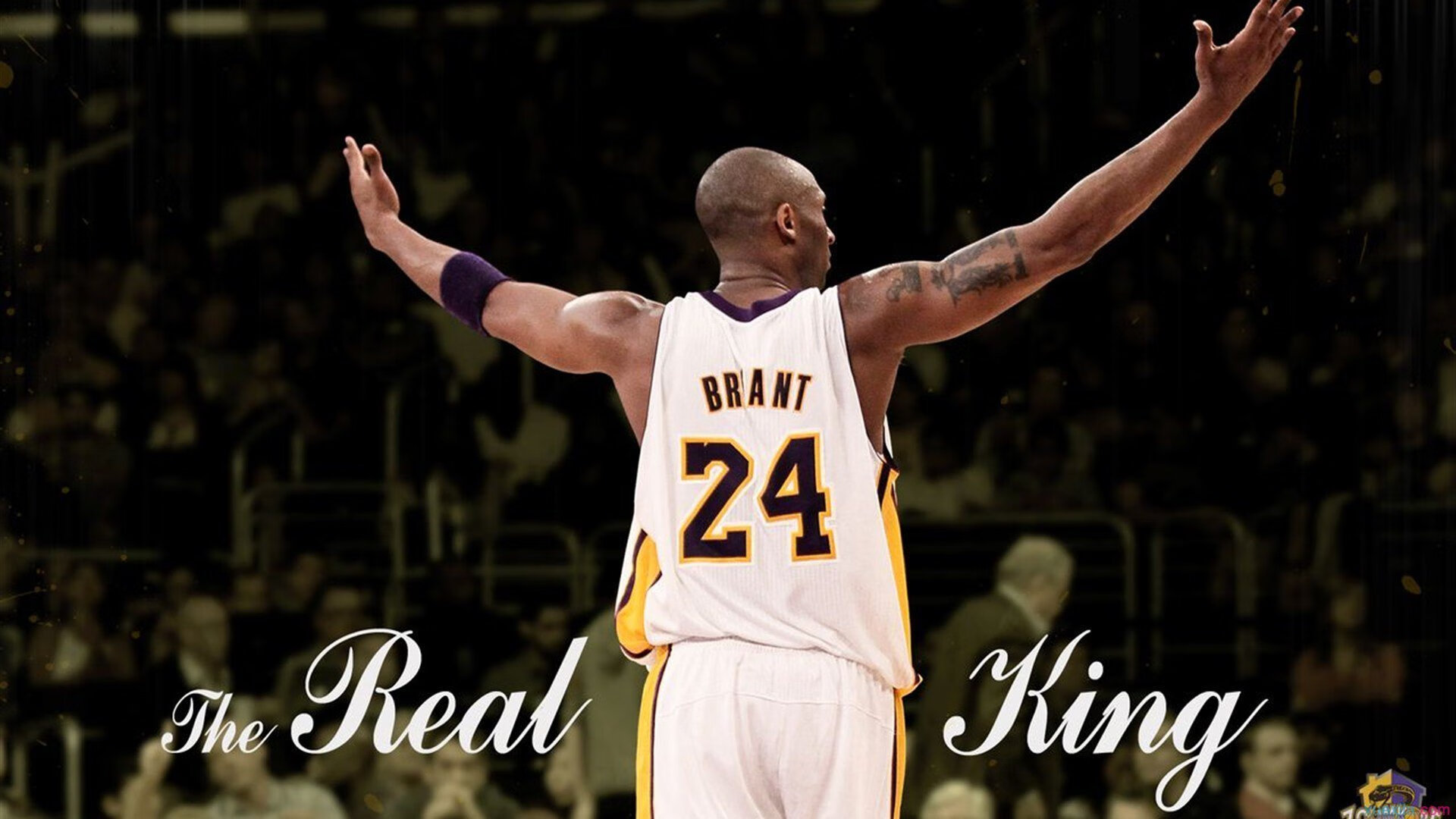 最后一圈的审判,当鱼雷变成救世主,F1最黑暗的时刻如何诞生最耀眼的光?